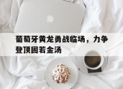 澳客彩票官网电脑版-关于葡萄牙黄龙勇战临场，力争登顶固若金汤的信息