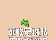 澳客足球网站-利兹联克敌取胜，团队合作为胜利铺平道路的简单介绍