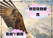 澳客网首页电脑版-关于老鹰表现抢眼，领先优势不容忽视！的信息